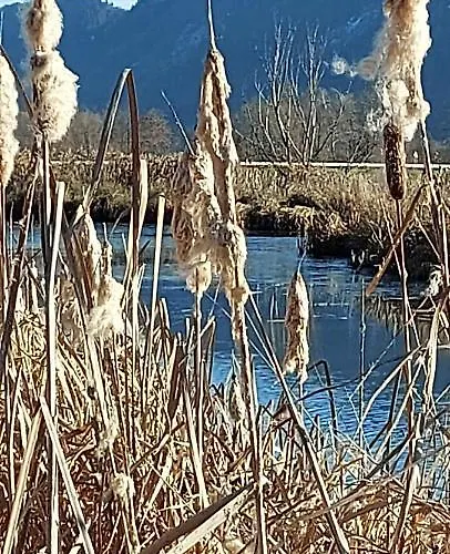 Tamara's Heiligen Gestade